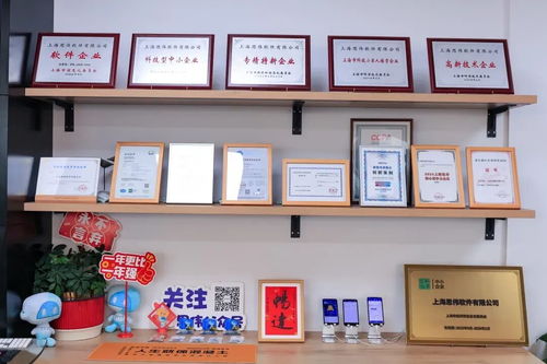 創(chuàng)新發(fā)展看楊浦 思偉軟件深耕工業(yè)軟件，讓每方混凝土都閃耀科技之光