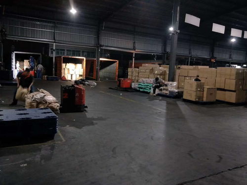 河南焦作至東莞物流專線 高效時效與貼心禮儀服務